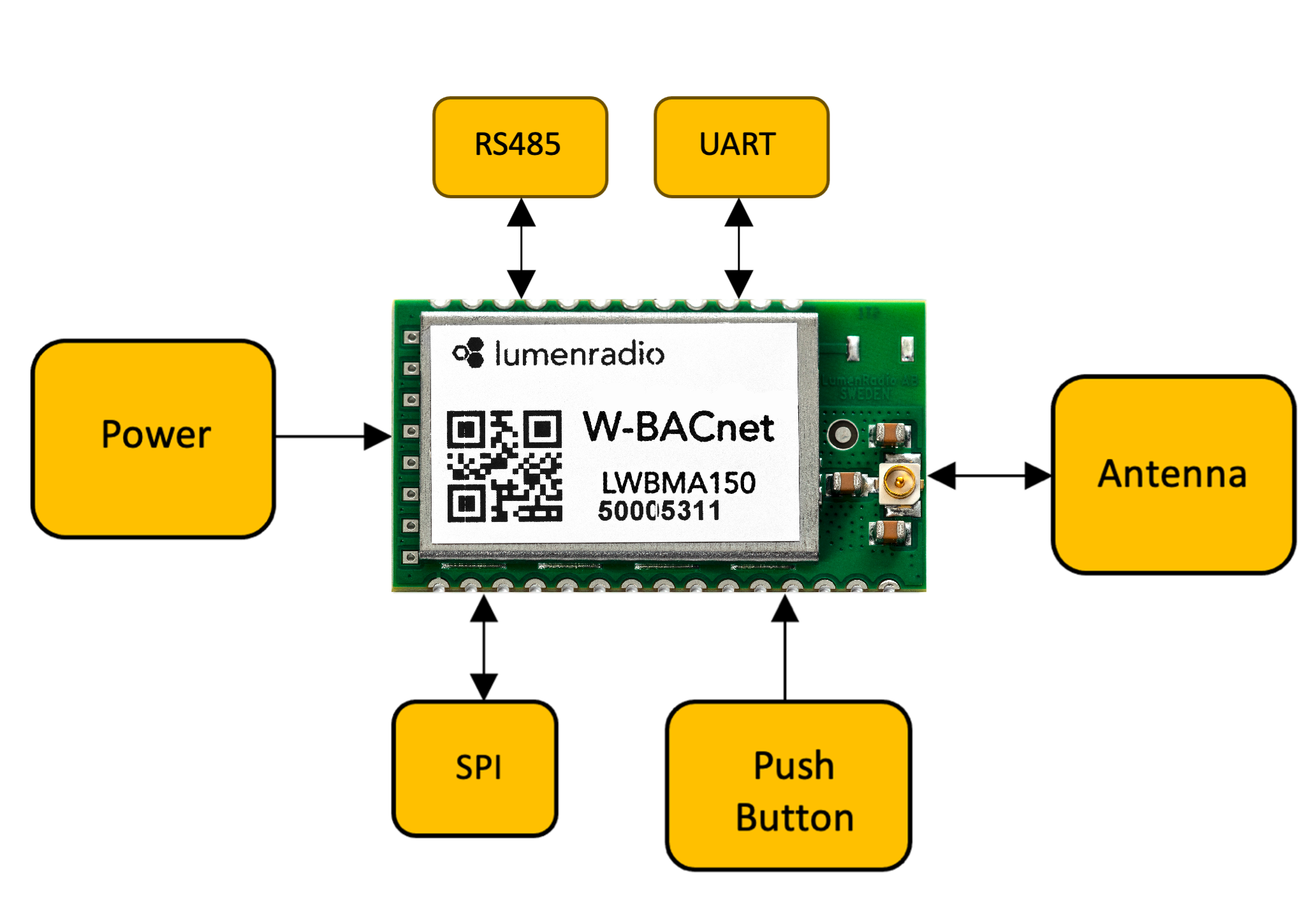 Module Overview